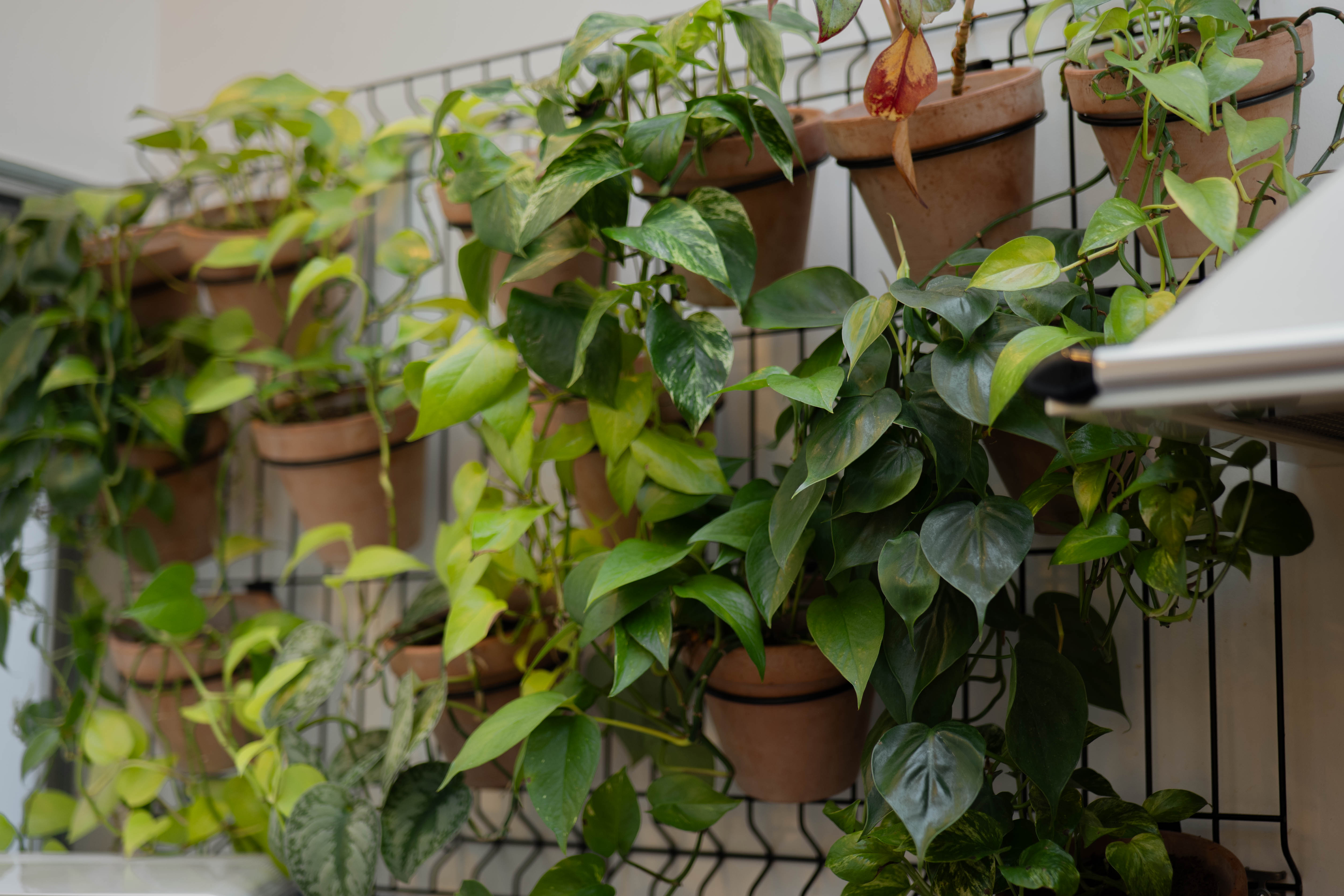 Produits partenaires dans une maison DayOff